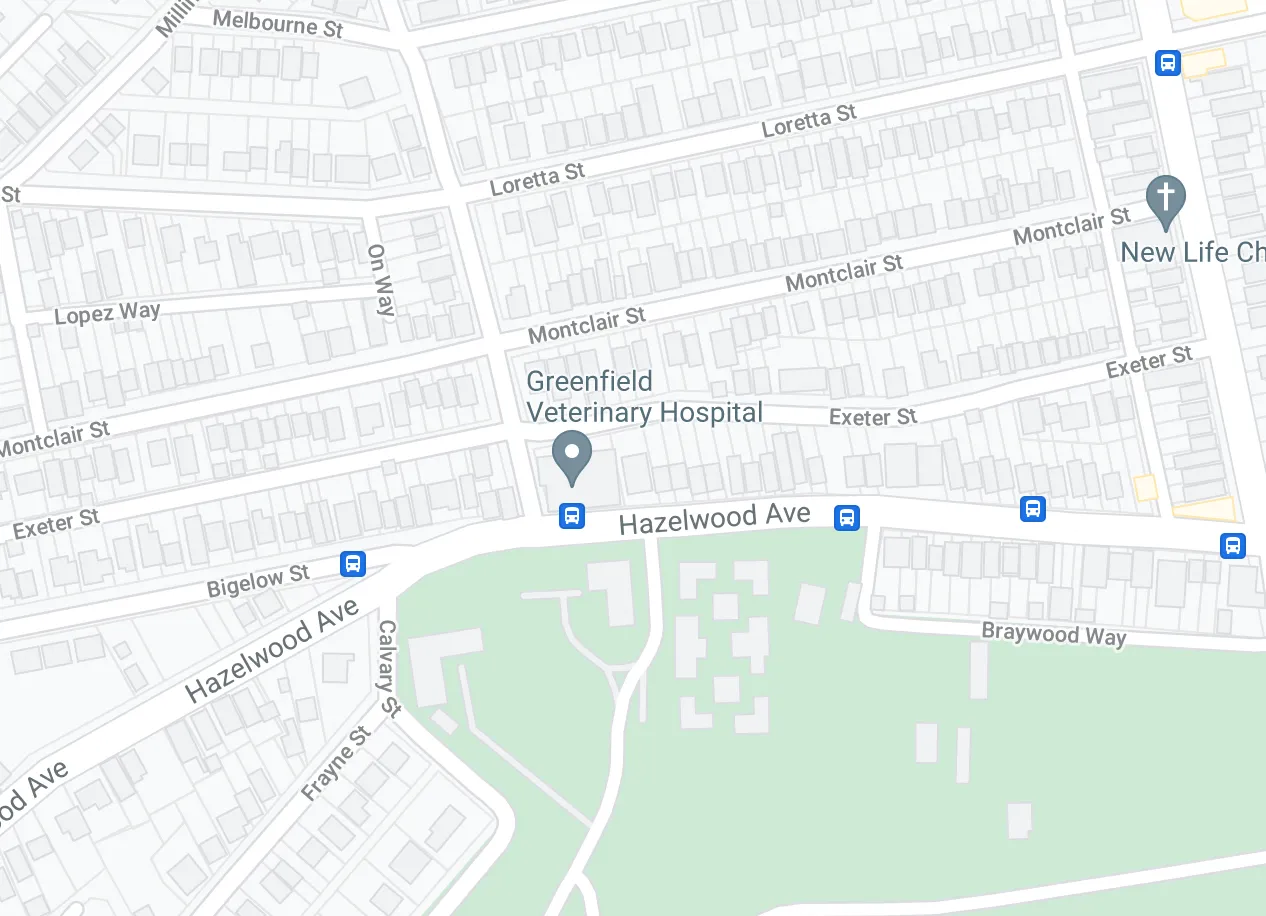 Location Greenfield Veterinary Hospital